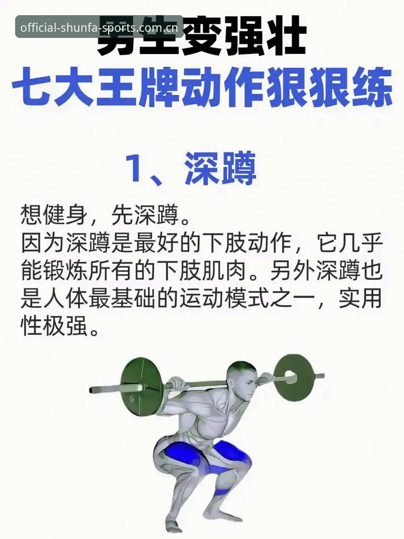 2026顺发体育苹果版上手必看：5个新手必备的操作技巧